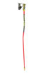 Picture of Leki - Skipoles - Carbon Gs