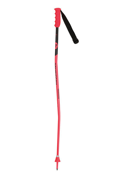 Picture of Rossignol - Skipoles - GS SG - Junior