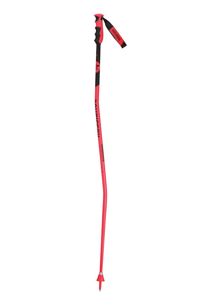 Picture of Rossignol - Skipoles - GS SG