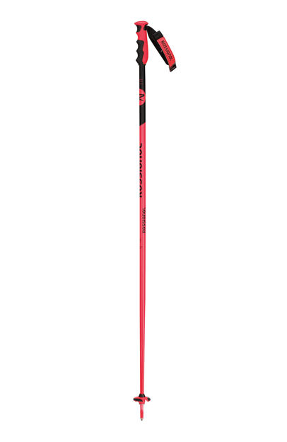 Picture of Rossignol - Skipoles - SL