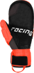 Bild von REUSCH WORLDCUP WARRIOR GS MITTEN 