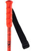 Immagine di ROSSIGNOL ALPINE POLES HERO GS-SG JR