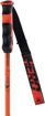 ROSSIGNOL ALPINE POLES HERO CARBON