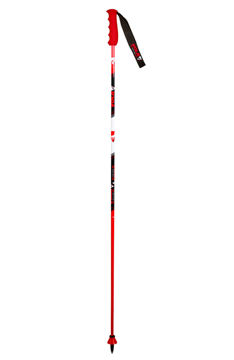 Immagine di VOLA POLES GS CARBON