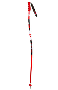 Immagine di VOLA GS SKI POLE JUNIOR