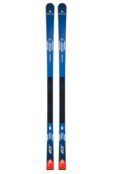 Bild von DYNASTAR SKI 170-182 CM SPEED COURSE WC GS R22