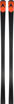 DYNASTAR  SKI GS SPEED 188 CM WC FIS GS (R22)